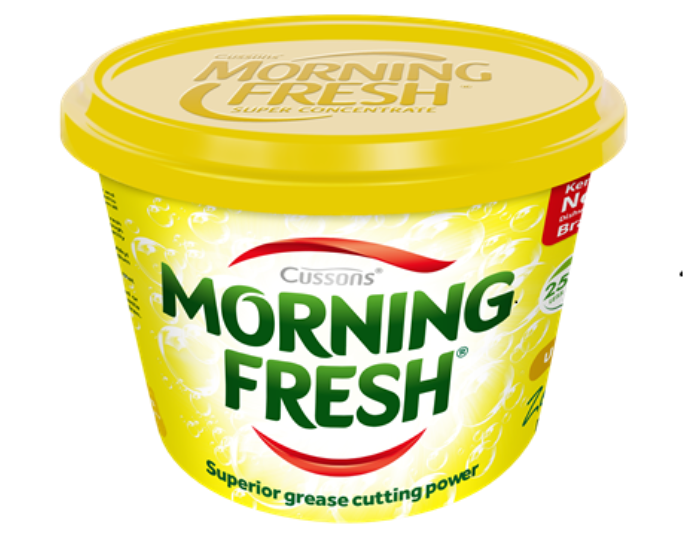 MORNING FRESH PASTE ZESTY LEMON 400G